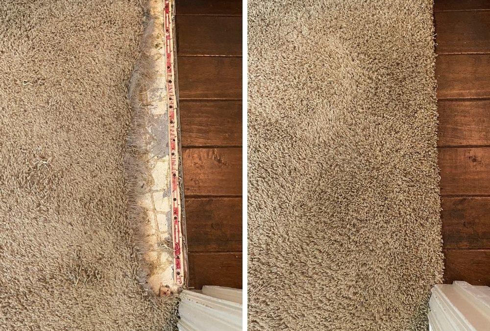 How to Repair Carpet Damaged by Pets