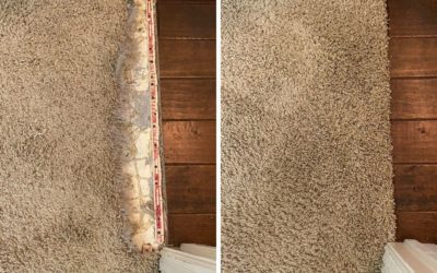 How to Repair Carpet Damaged by Pets
