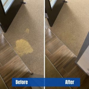 How to Get Bleach Stain Out of Carpet [Is it Possible to DIY This?]