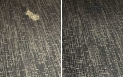 How to Remove Bleach Stains from Carpet
