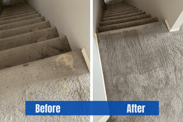 Should I Replace or Dye My Carpet?