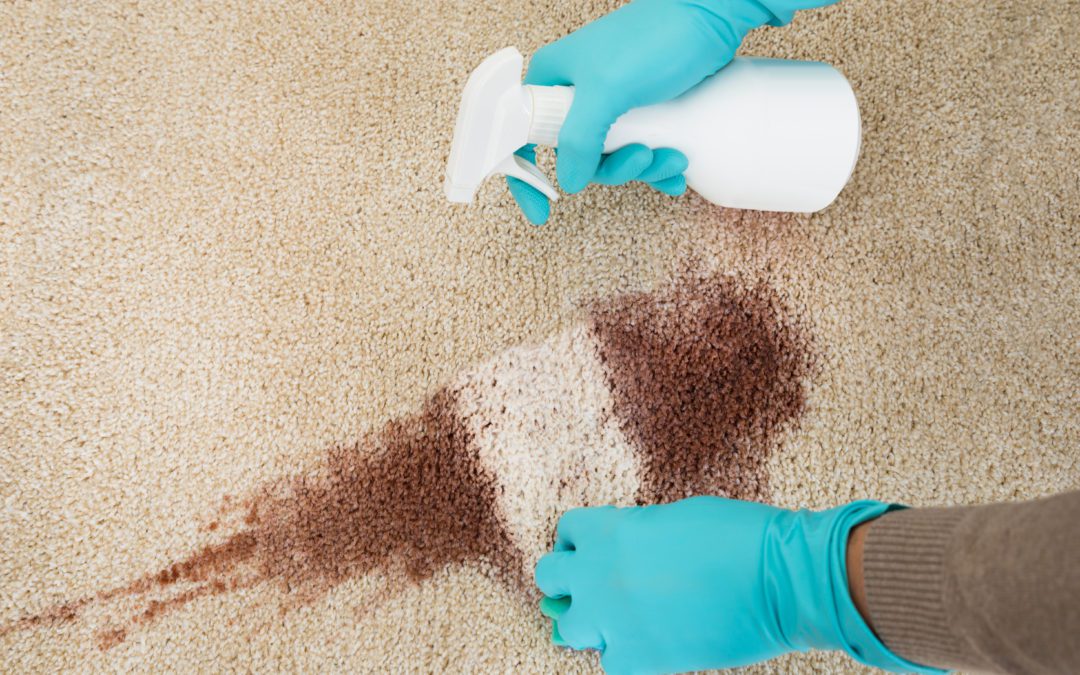 How to Get Stains out of Carpet